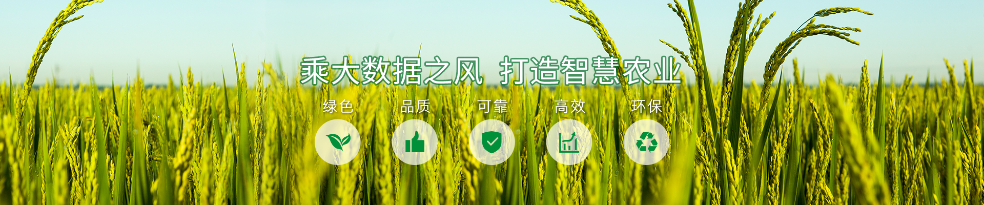 产品中心